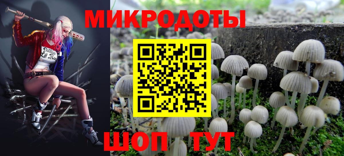 Галлюциногенные грибы прущие грибы  Вход с VPN  хочу   Петрозаводск 